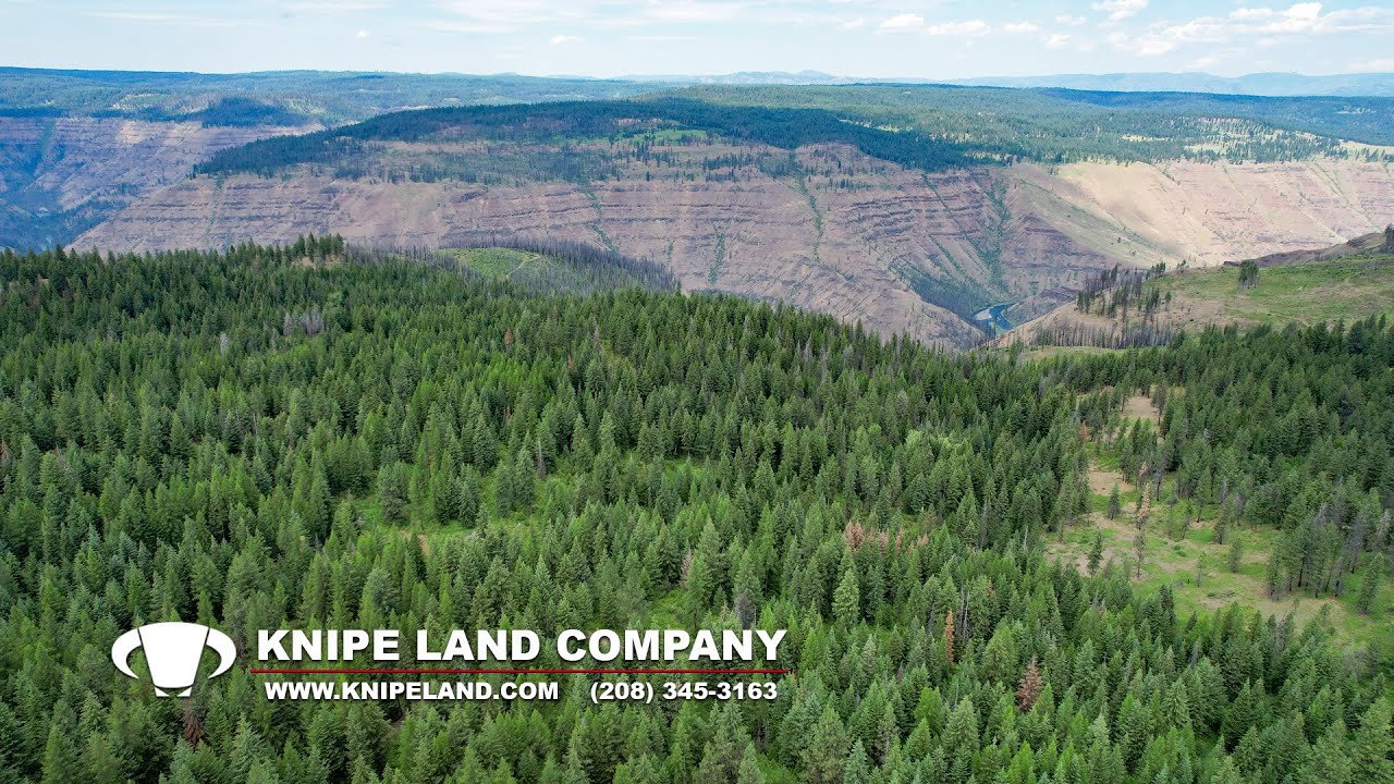 Wallowa Timber Ranch - Timbered Land with Hunting, Recreation, and Scenic Views - Wallowa Oregon