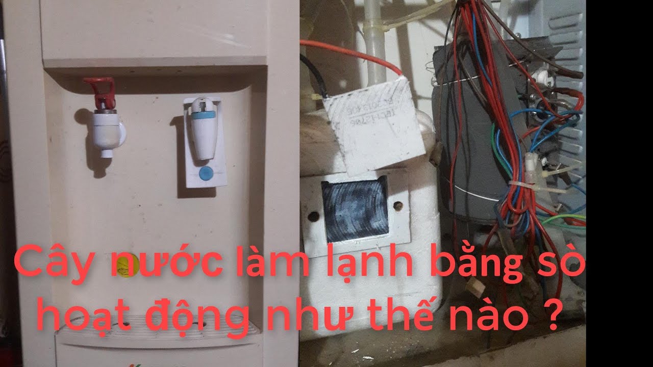 nguyên lý hoạt động của cây nước nóng lạnh.