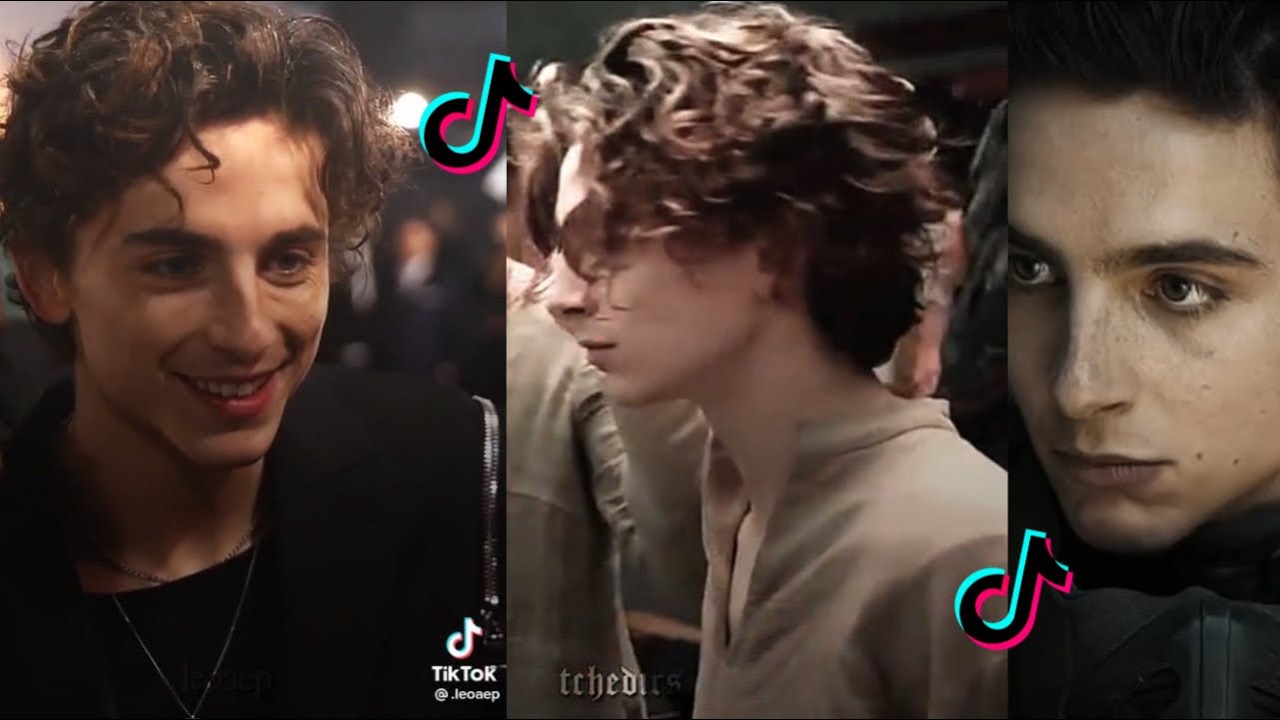 EDITS TIMOTHÉE CHALAMET TIKTOK-alpvd