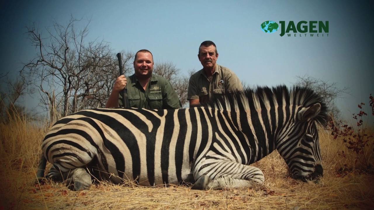 Trailer Auf Antilopen, Elefant und Krokodile - JWW 39
