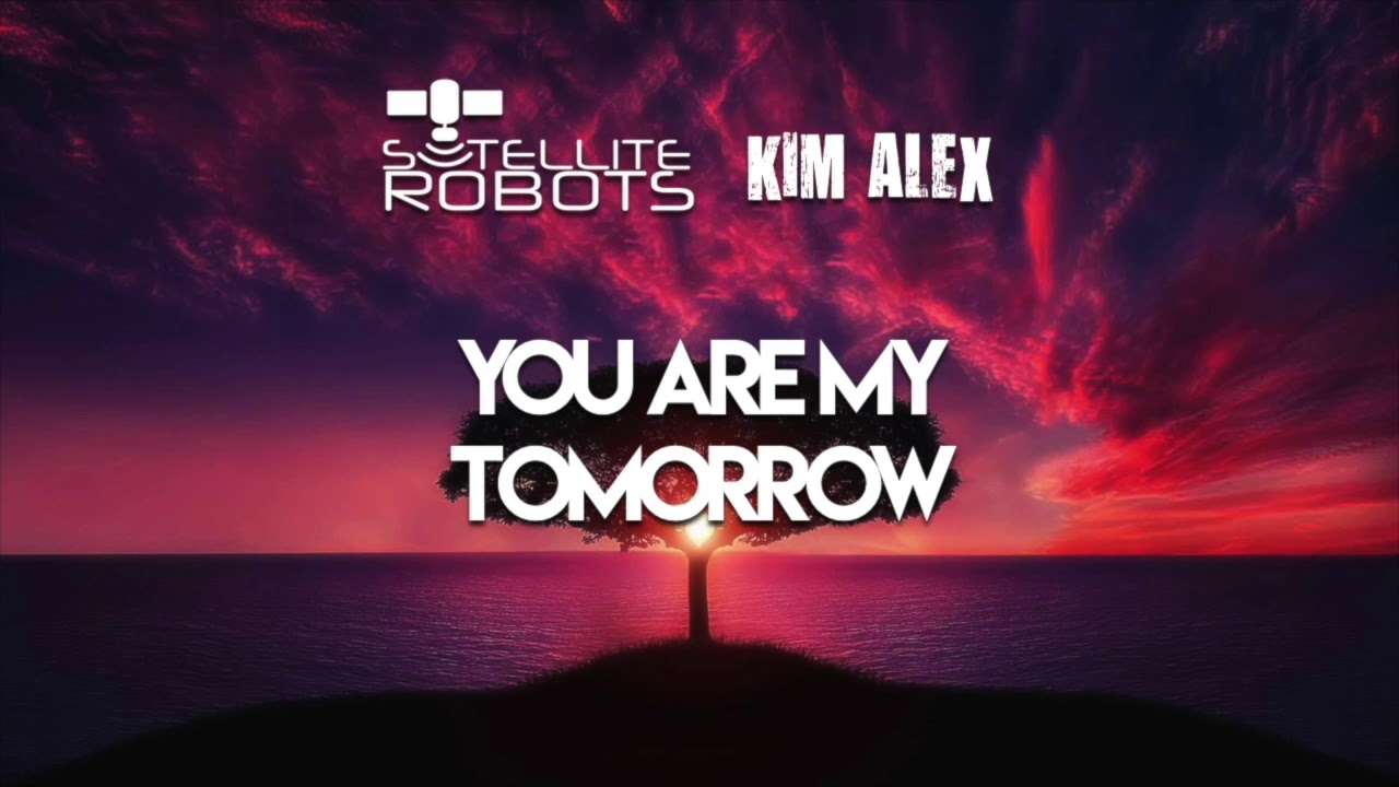 Satellite Robots & Kim Alex 