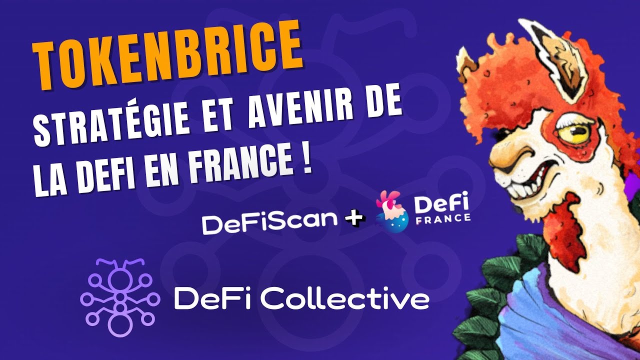 Strat&eacute;gies, rendements, stablecoins et memecoins : La DeFi d&eacute;cortiqu&eacute;e - Avec TokenBrice