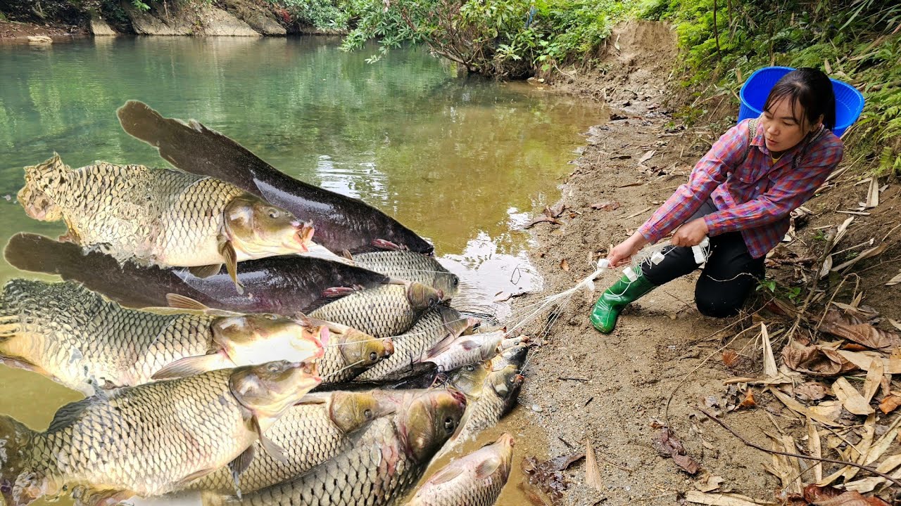 Traditional fishing skills - The girl caught a huge school of carp and painted a beautiful house.