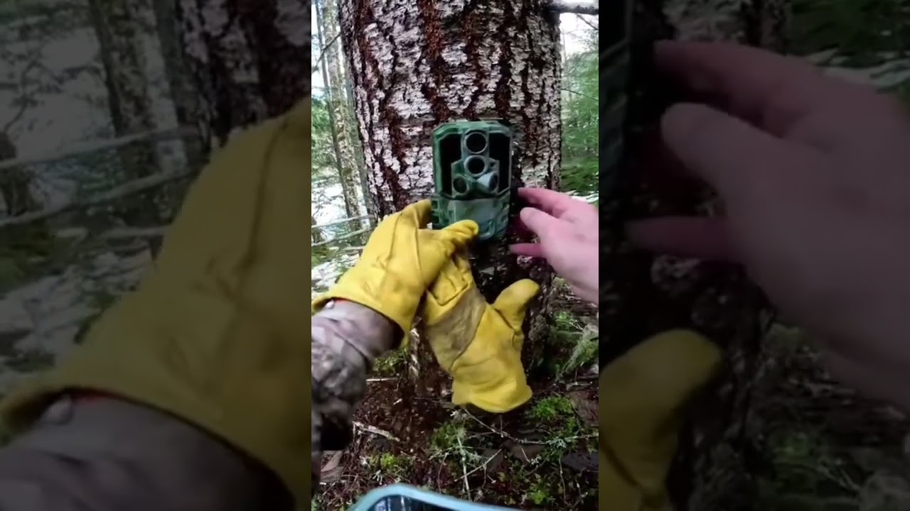 Trail camera under snow all winter still works #shorts #trailcam