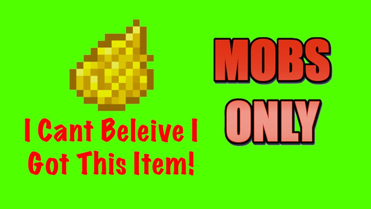 Hypixel Skyblock But I Can Only Use Mob Drops -  I Have The Best Luck! #2