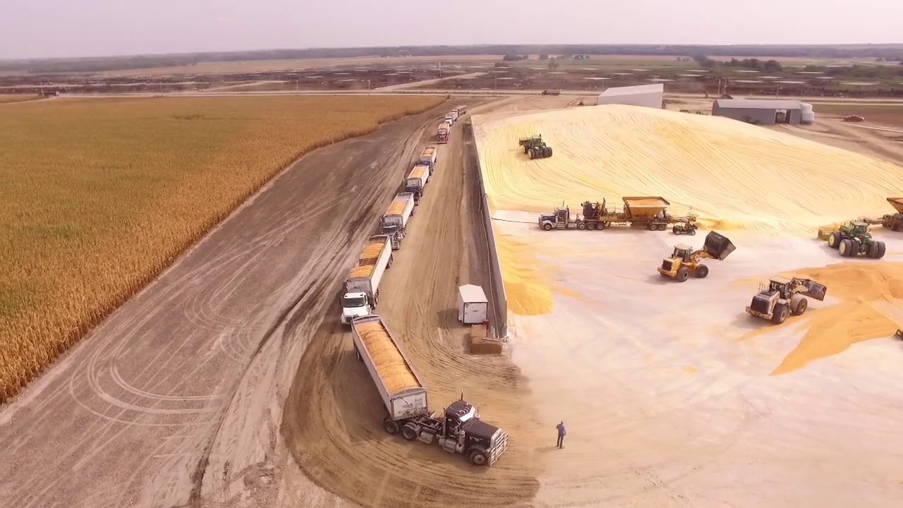 9-15-20 corn pile