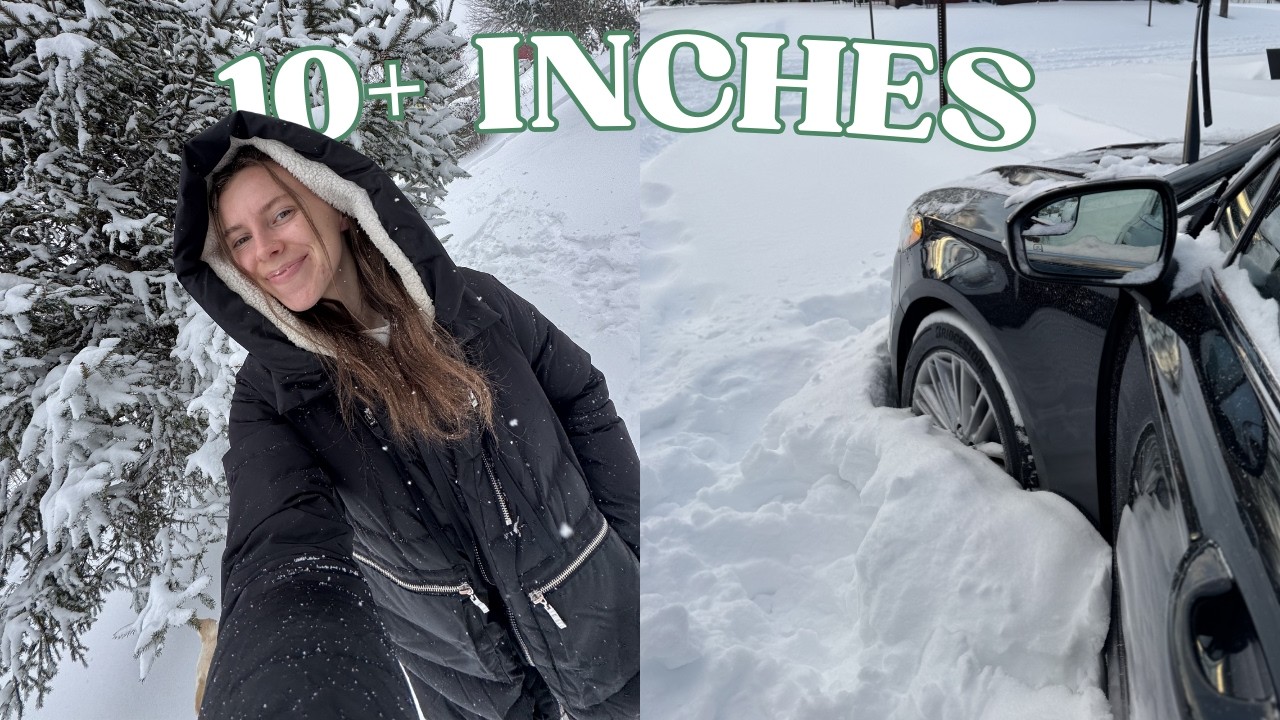 Getting Snowed in While Dog Sitting!