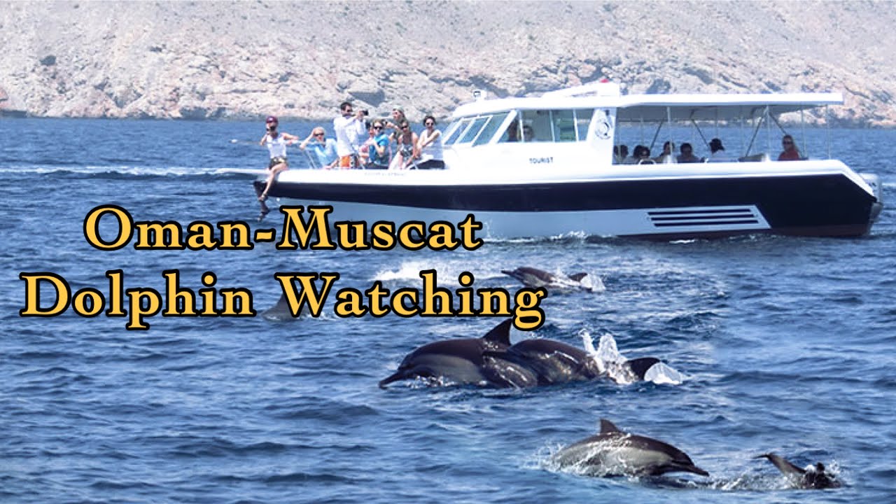Dolphin Watching Oman | Oman Muscat | Arabian Sea | Oman Sea |Bandar Al Rawdha