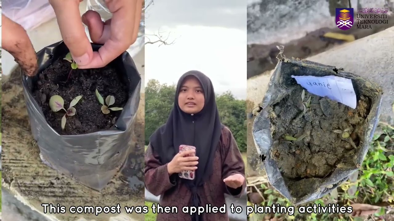 MIC346: PLANT GROWTH & BIOCOMPOST JOURNEY
