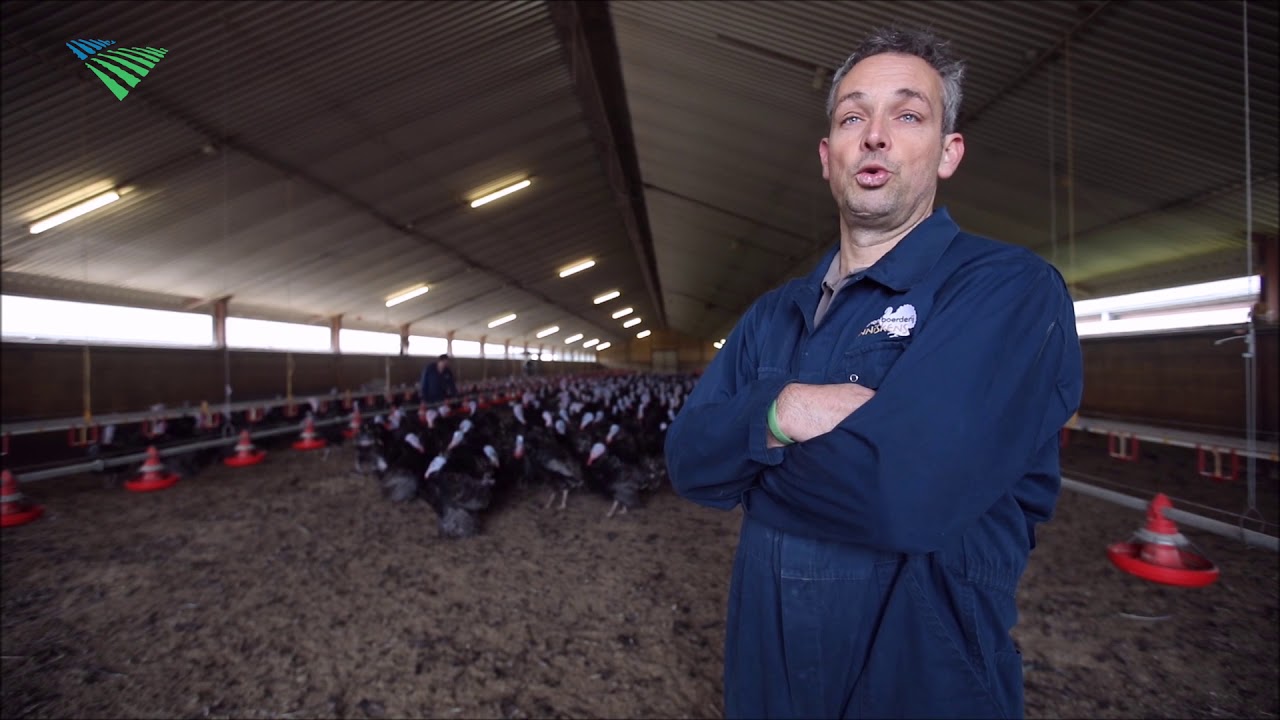 De eerste Beter Leven-kalkoen