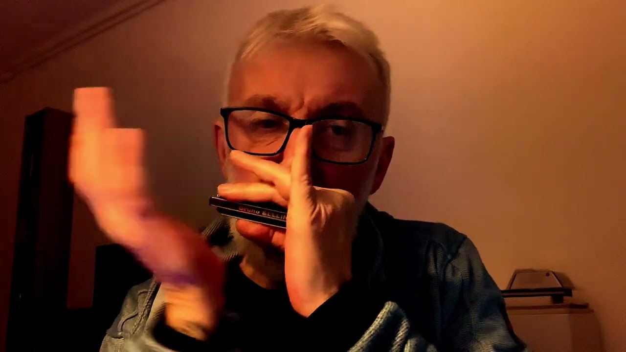 Harmonica Sunday training #blues #harmonica #live #jazz #countrymusic 