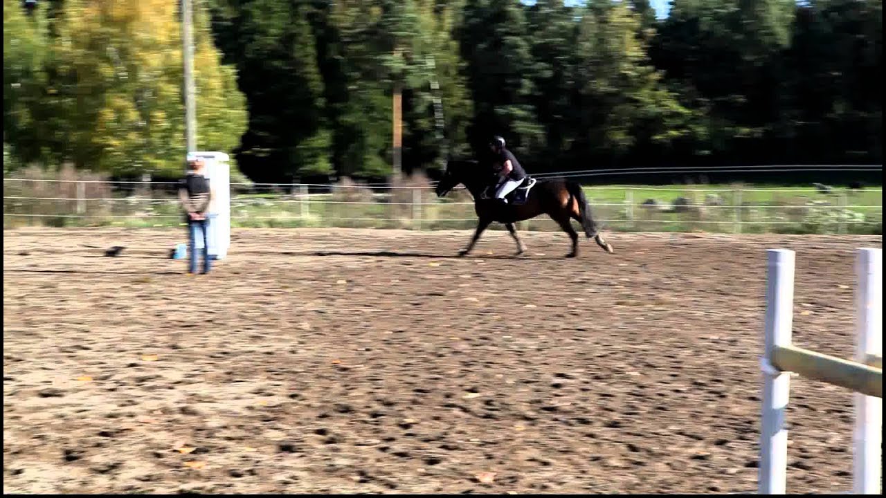 Ola Rapace och Qulan hoppar bana 4 okt 2011