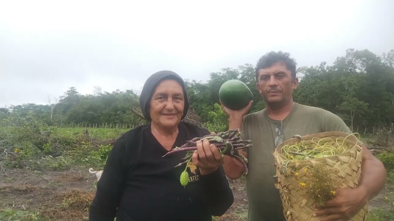 MELANCIA QUEBRADA NA ROÇA COM A MÃE