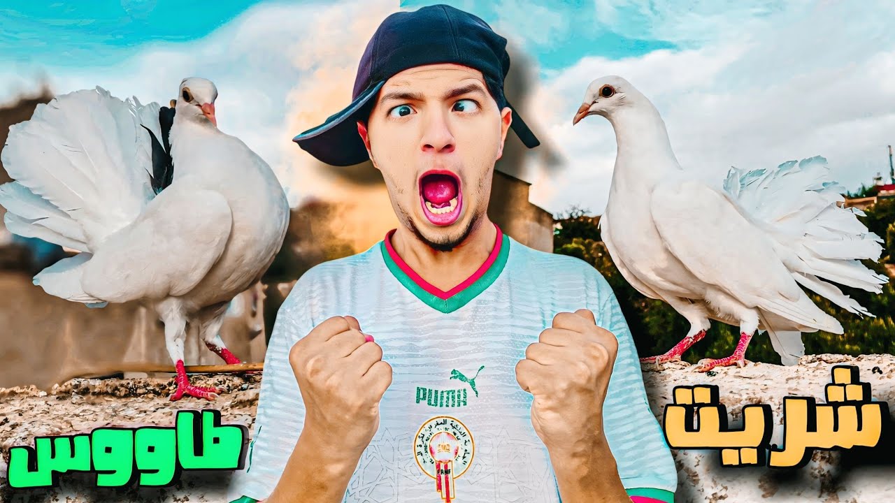 اخيرا شريت حمام الطاوس 🤩 طلقتهم يطيروا من نهارهم الاول 🤯