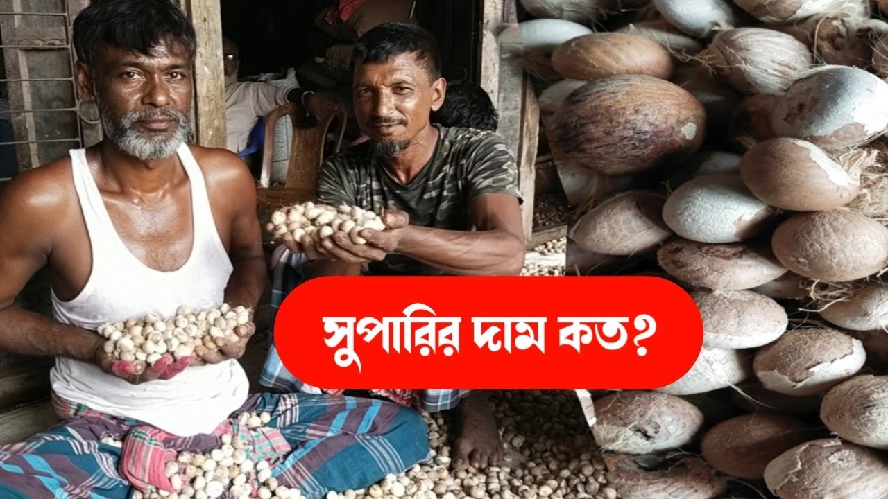 শুকনা সুপারির দাম জানুন ||সুপারির পাইকারি বাজার||ব্যবসার আইডিয়া||business idea 24