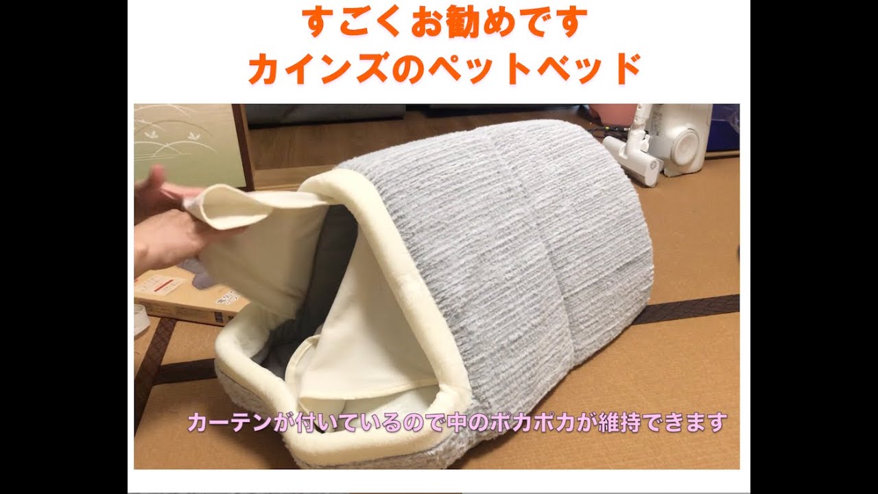 猫にプレゼント☆カインズのペットベッド