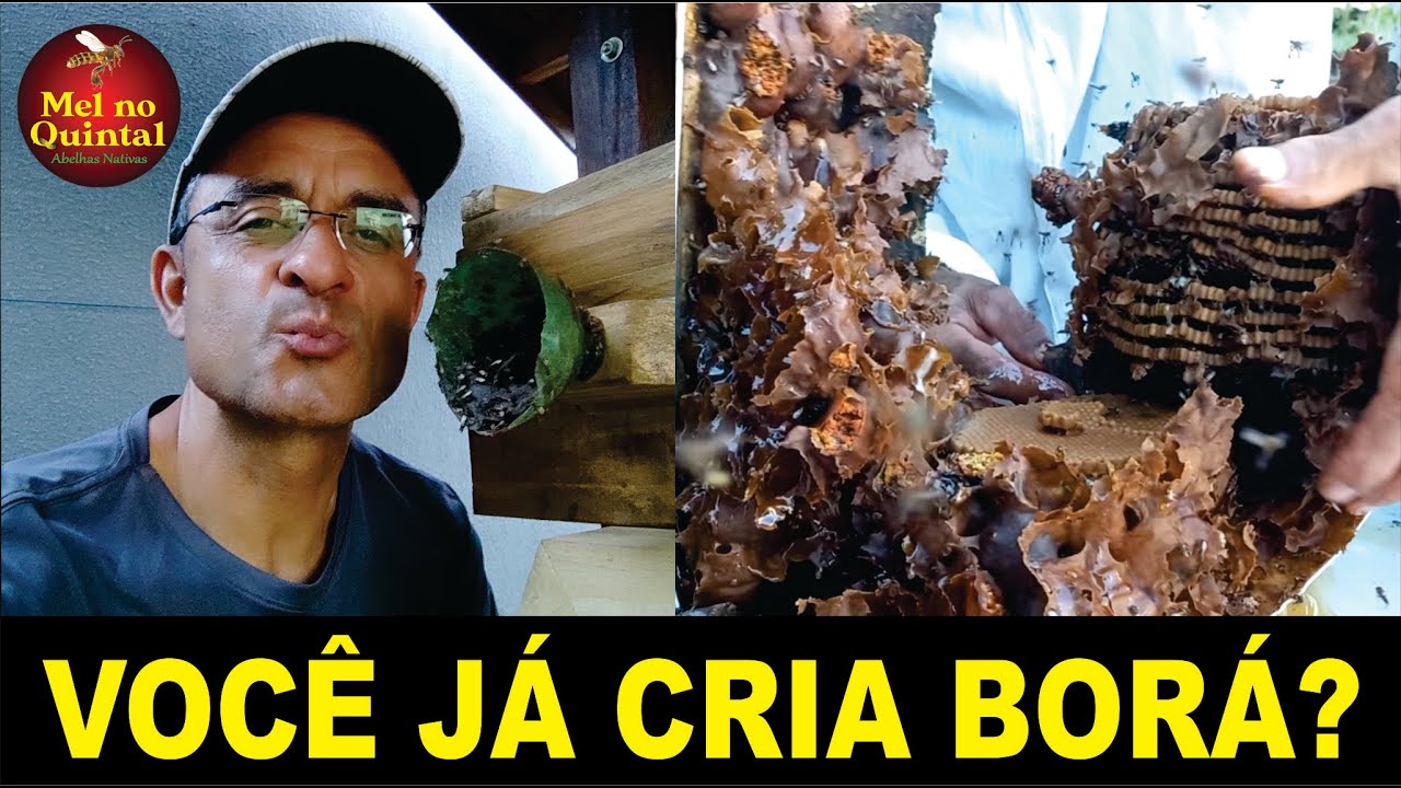 BORÁ MEGA FORTE!