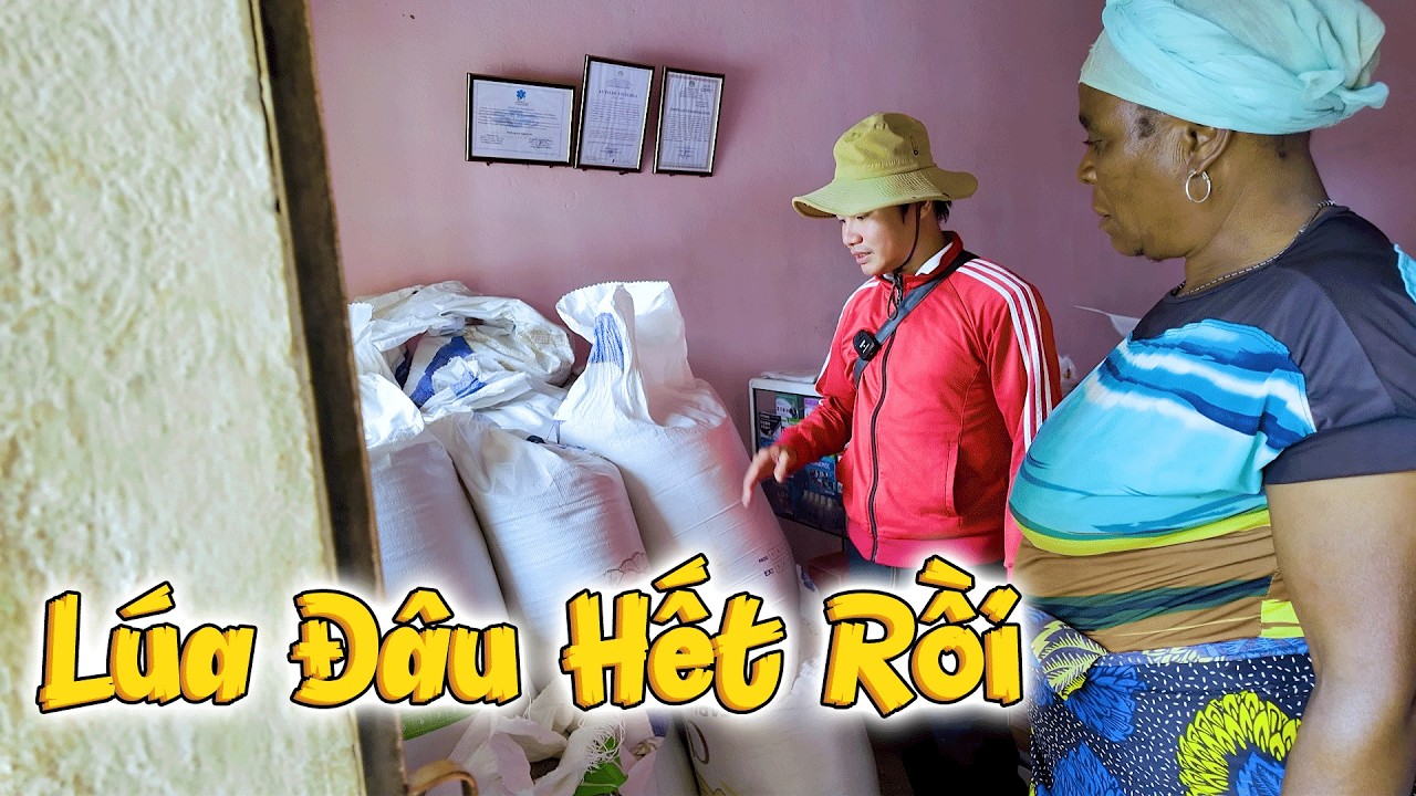 Lúa Đâu Hết Rồi, Sao Còn Mấy Bao Vậy Cháu? Công Khai Số Lượng Lúa Với Vợ Bác Trưởng Bản Limbondue