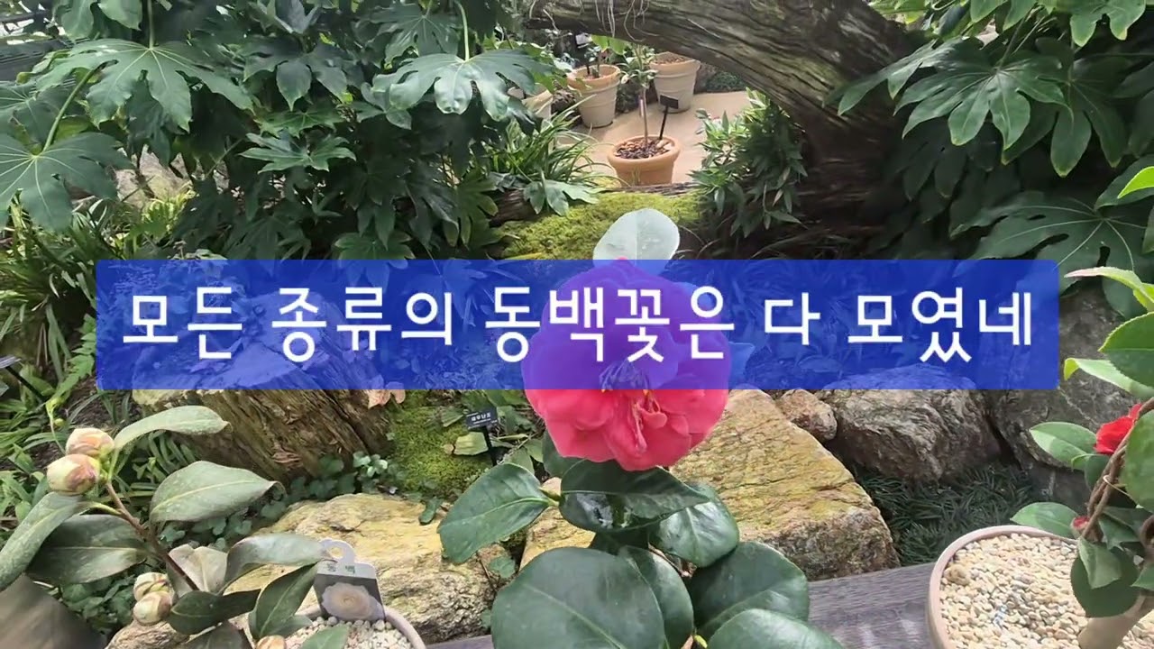 #국립세종수목원 #희귀식물전시관