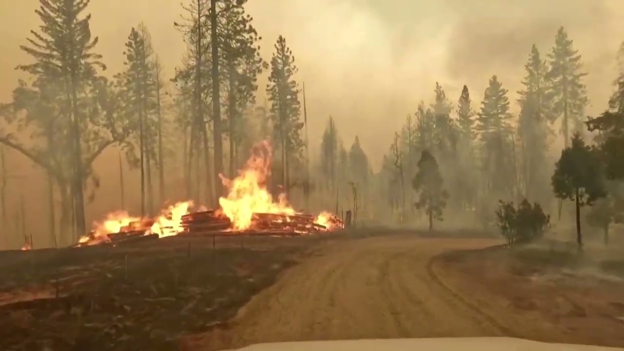 Thousands evacuated as California's Oak Fire grows