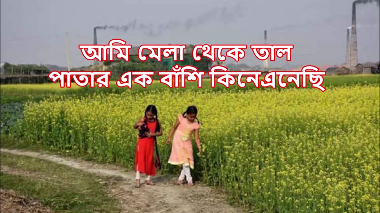 আমি মেলা থেকে তাল পাতার - কনক চাঁপা || Ami Mela Theke Taal Paatar - Kanak Chapa