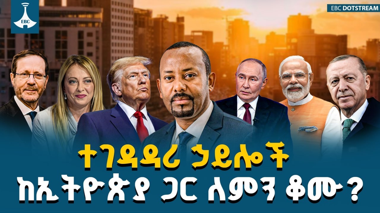 ተገዳዳሪ ኃይሎች ከኢትዮጵያ ጋር ለምን ቆሙ? | Foreign Policy | Ethiopia | Diplomacy |