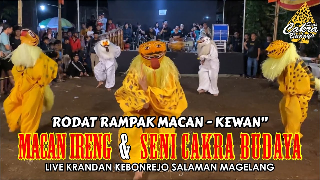 RODAT RAMPAK MACAN KEWAN KEWAN MACAN IRENG & SENI CAKRA BUDAYA || LIVE KRANDAN KEBONREJO SALAMAN