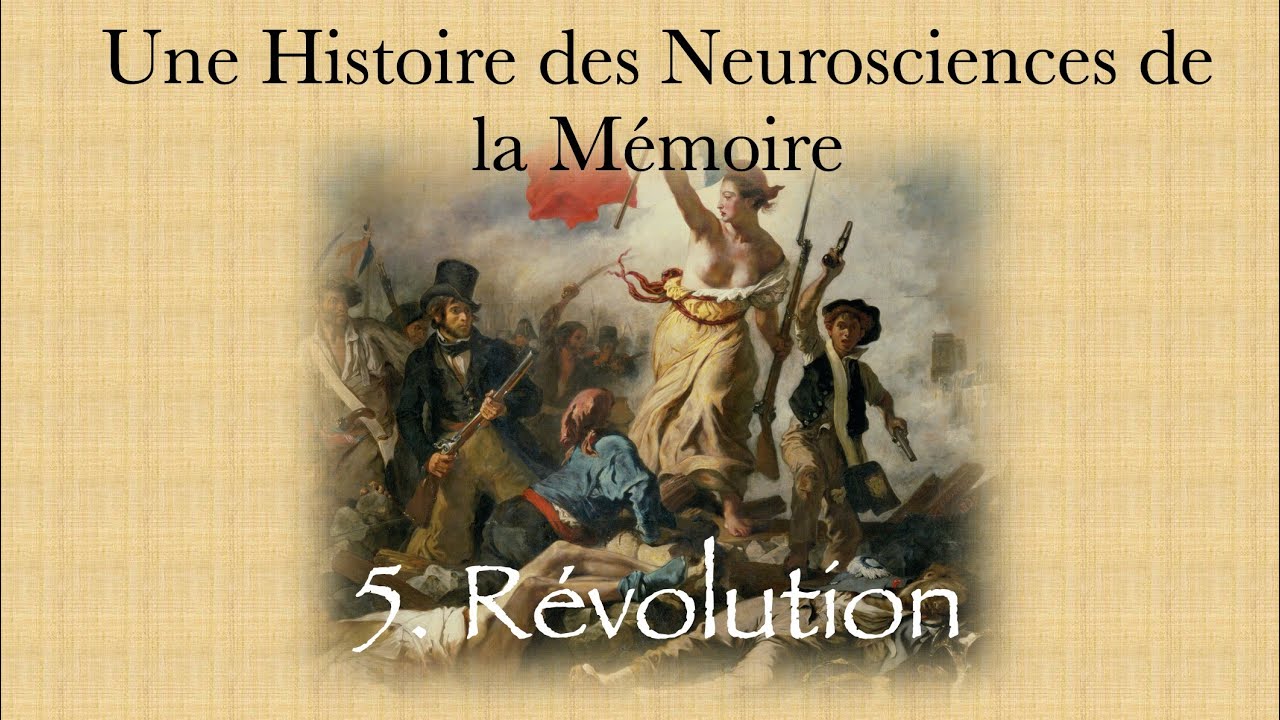 Une histoire des neurosciences de la m&eacute;moire - partie 5 R&eacute;volution