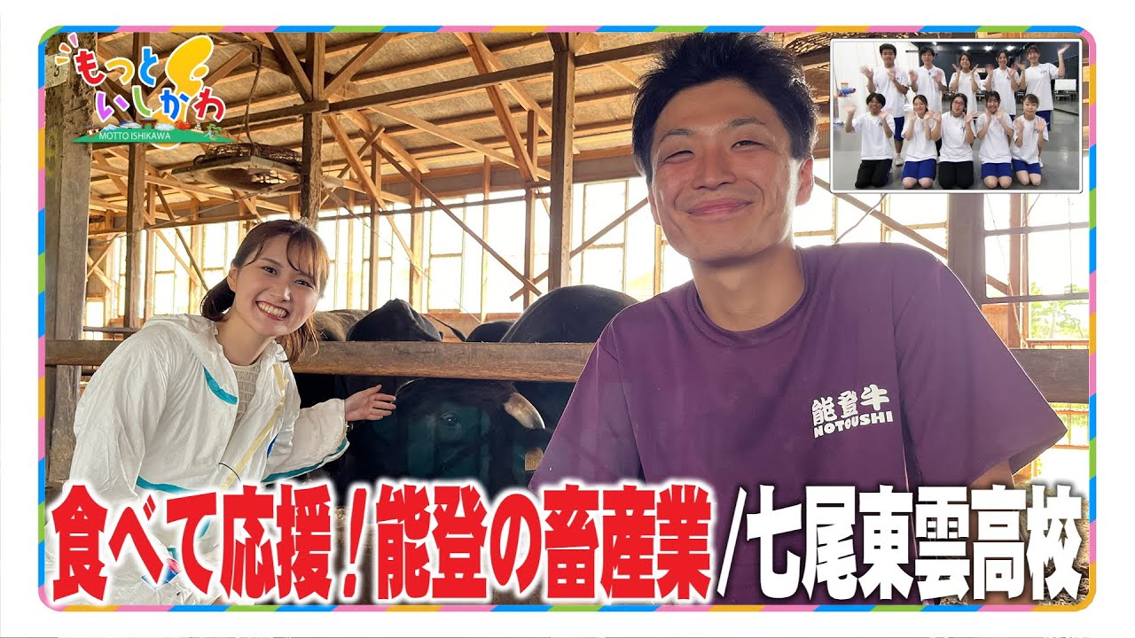 食べて応援！能登の畜産業【もっといしかわ】