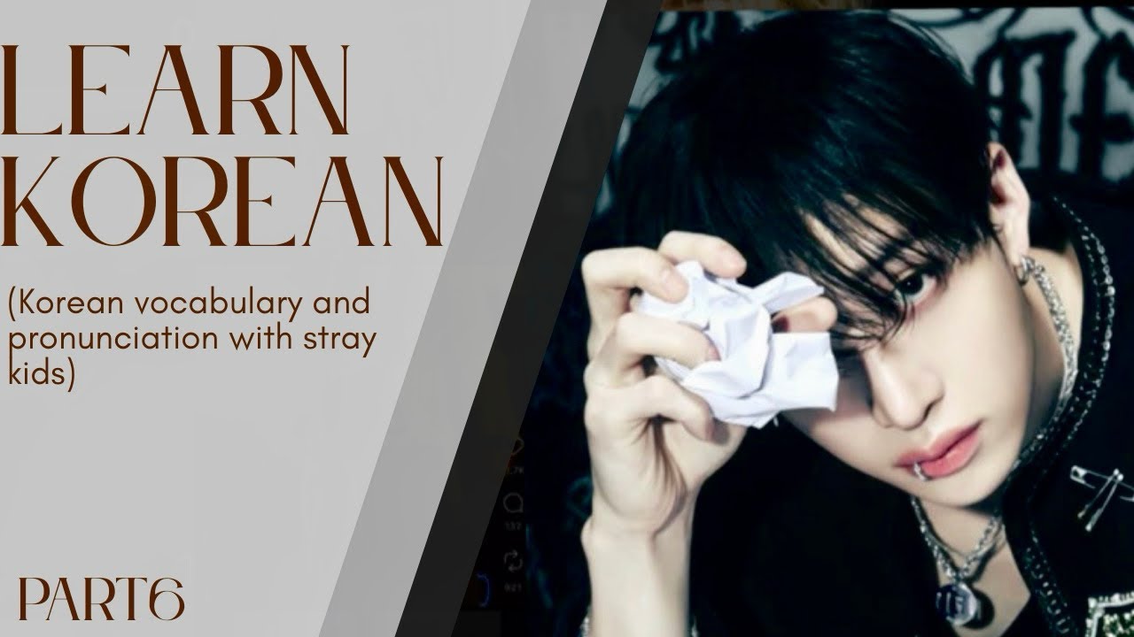 Stray Kids MANIAC Korean Lesson| Learn Korean with K-Pop – Part 6