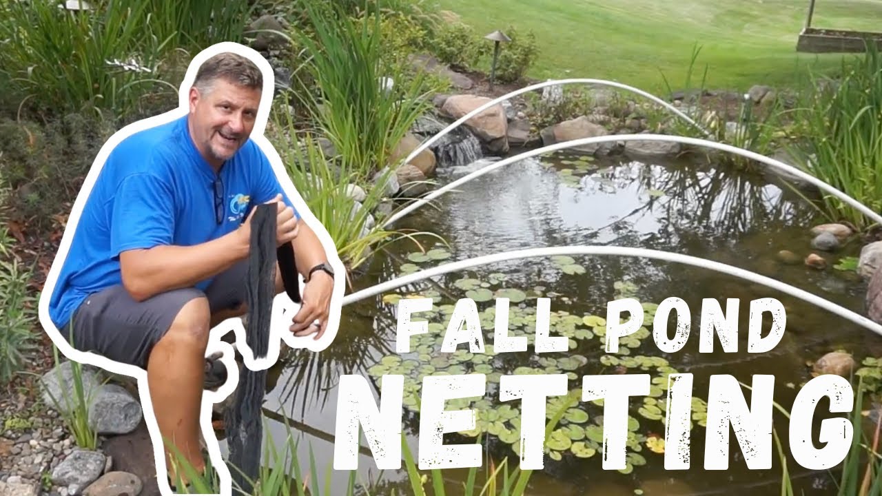 How to install a POND NET for Fall Leaves 🍂