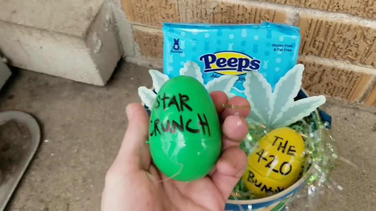 Quirky Cannaview #12 Happy Easter!! Star Crunch