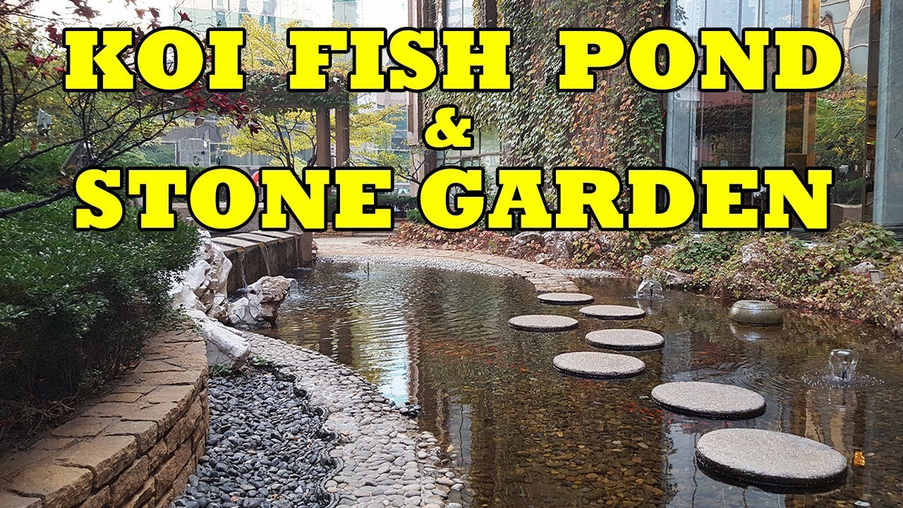 Peaceful Koi Fish Pond and Stone Garden at Shangri-la Hotel | Dalian, China