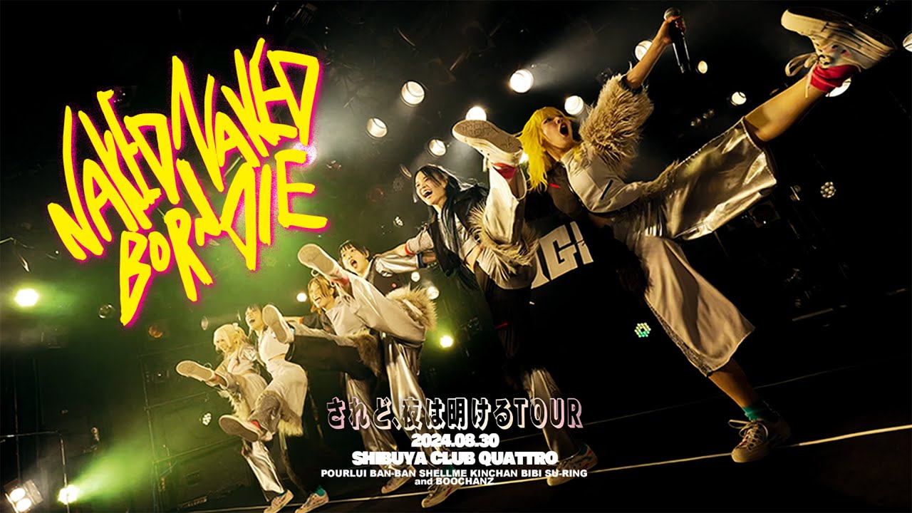 PIGGS / NAKED BORN NAKED DIE (