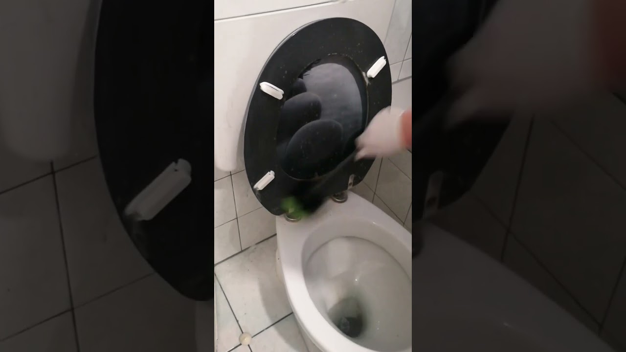Die Toilette richtig putzen. Туалет правильно чистить.