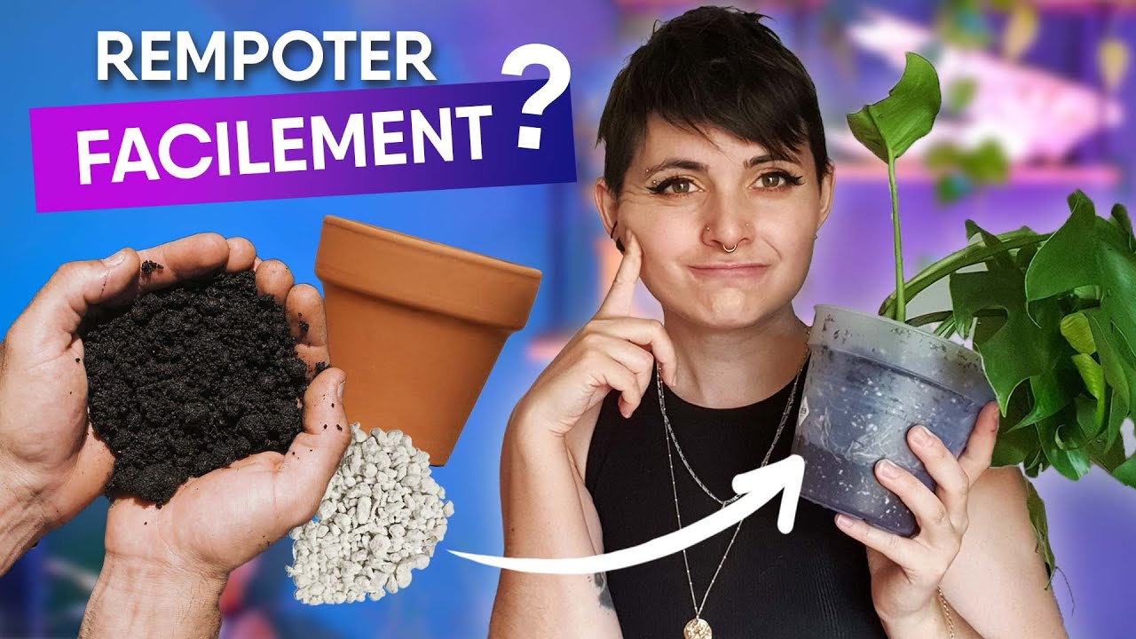 COMMENT REMPOTER UNE PLANTE D'INTÉRIEUR FACILEMENT - Spécial débutant - étape par étape 🌿