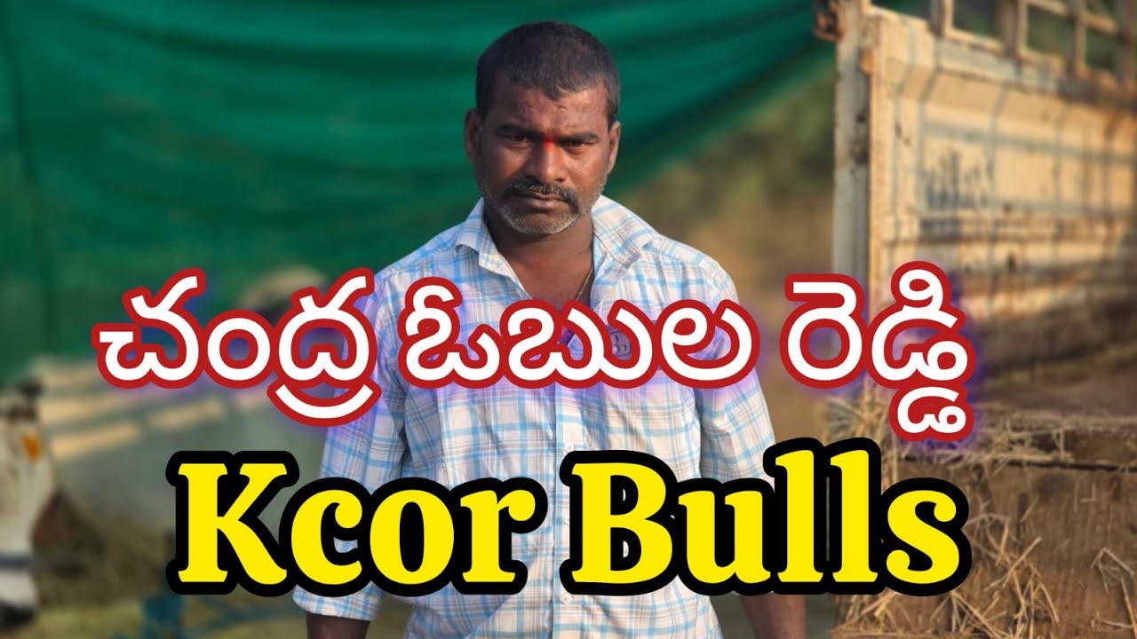 మహానంది న్యూ క్యాటగిరి విభాగంలో 11