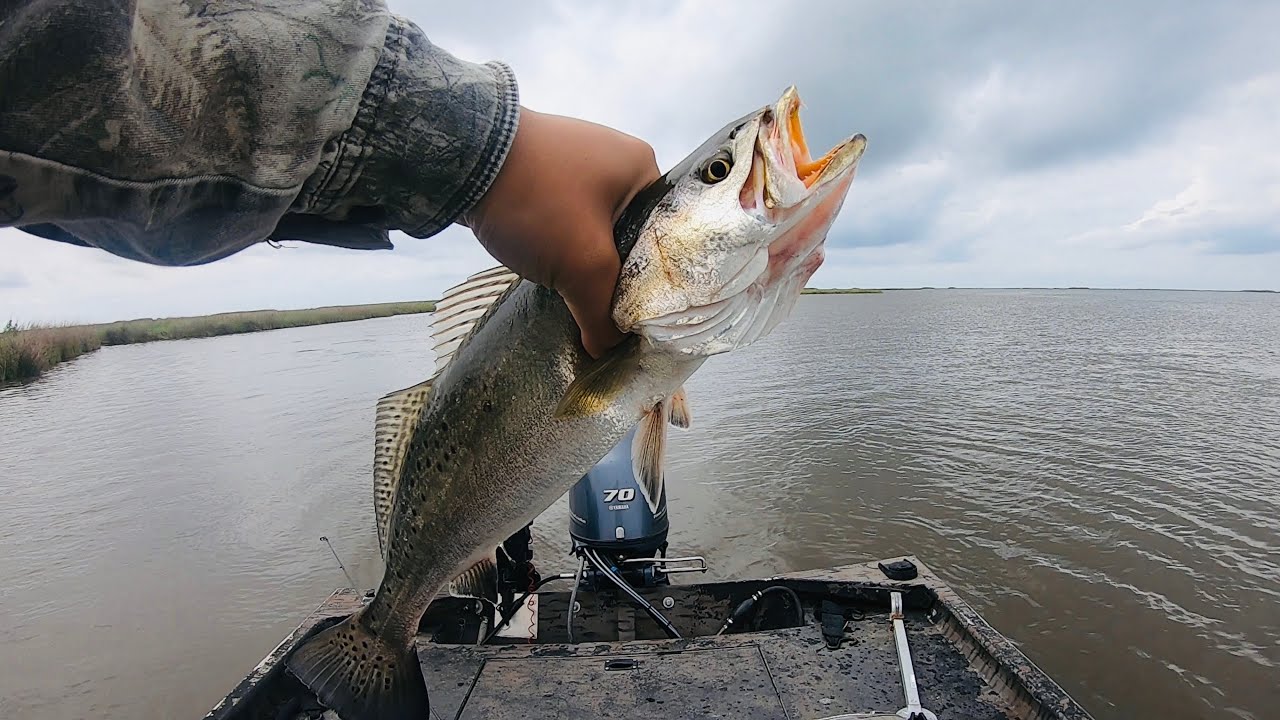 Use This Strategy to Find Speckle Trout in Delacroix!