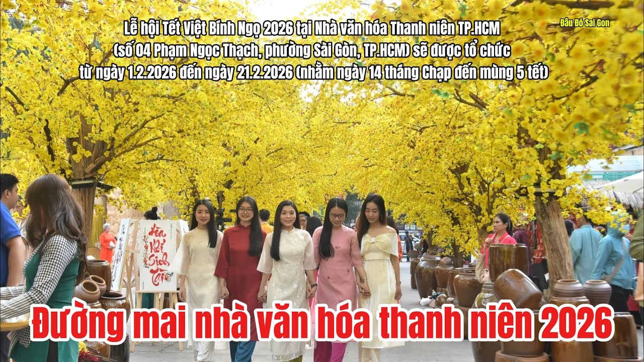 Đường mai Nhà Văn Hóa Thanh Niên- Tết Bính Ngọ 2026-   điểm đến lý tưởng của giới trẻ năm nay