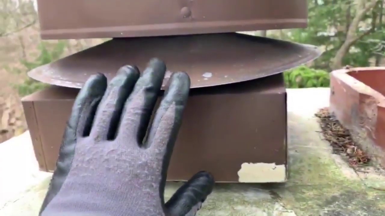 Bat Entry Point (Chimney)