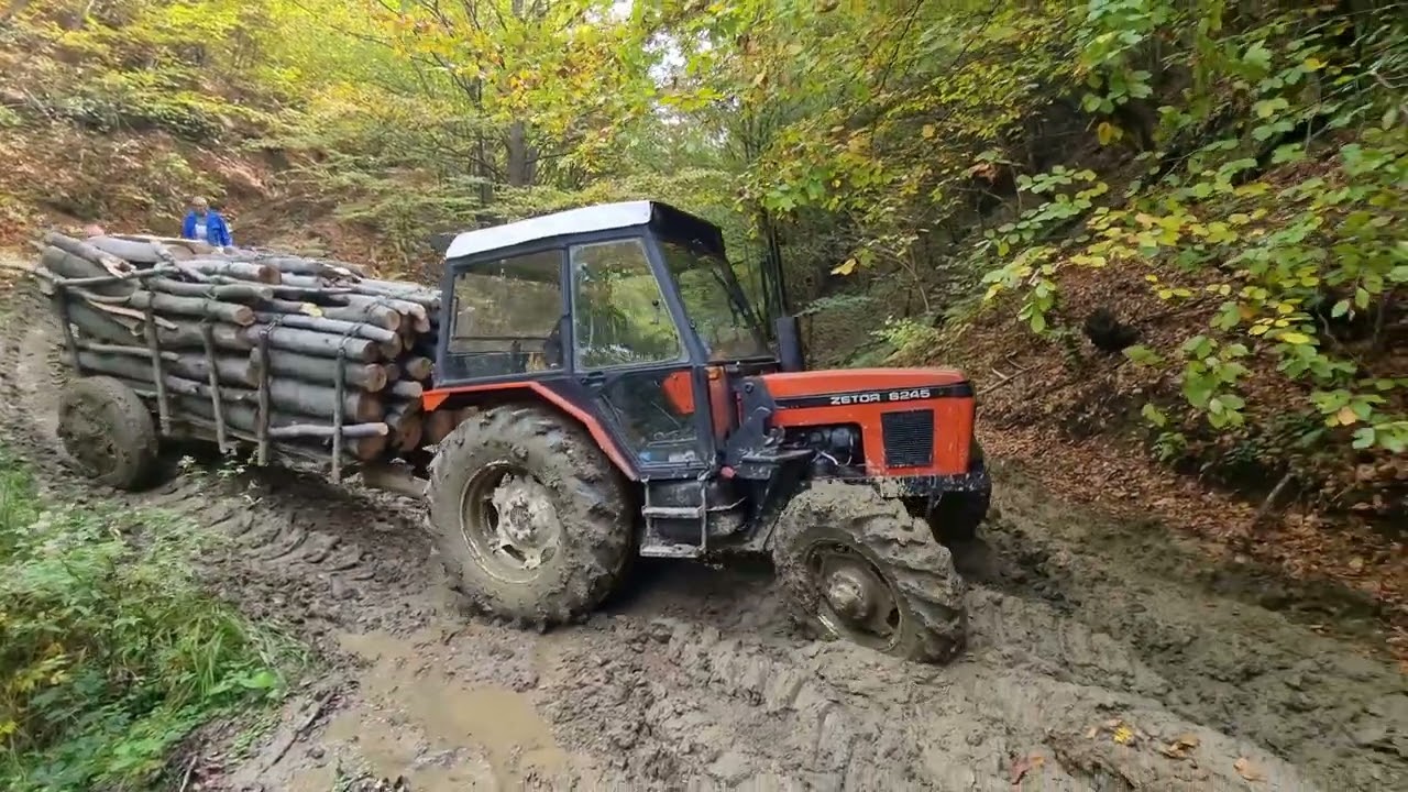 Zetor 6245 - Spuštanje i vožnja drva po blatu u EXTREMNIM uslovima Pt. 2