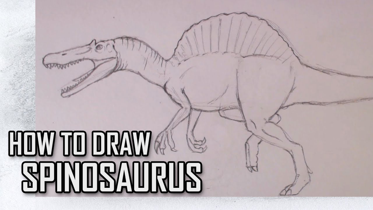 How To Draw Spinosaurs from Jurassic Park III Step By Step