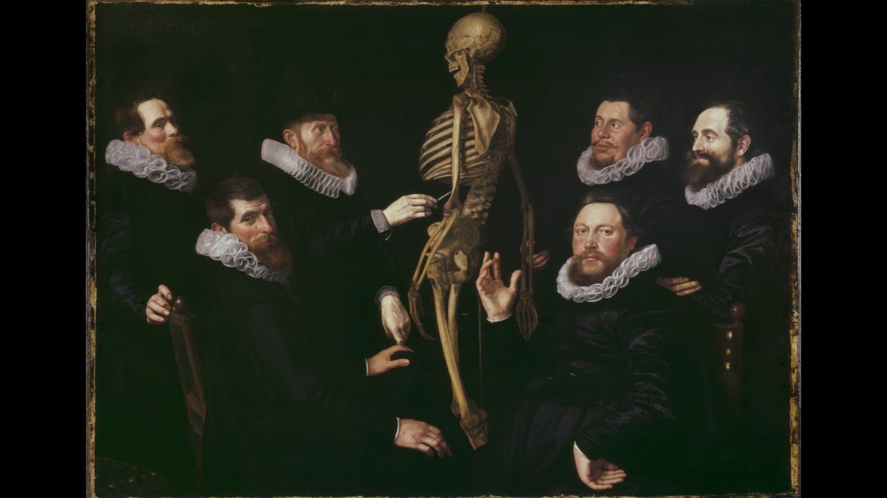 Repetytorium na podstawie A. Bochenka - Osteologia