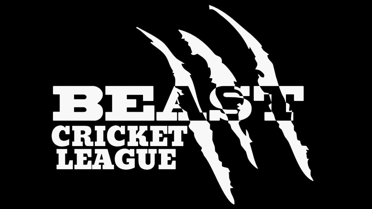 BCL EDITION-2 || ACE CUP || SEMI-FINAL 2 || THE MASTERS VS MSD 11 ||