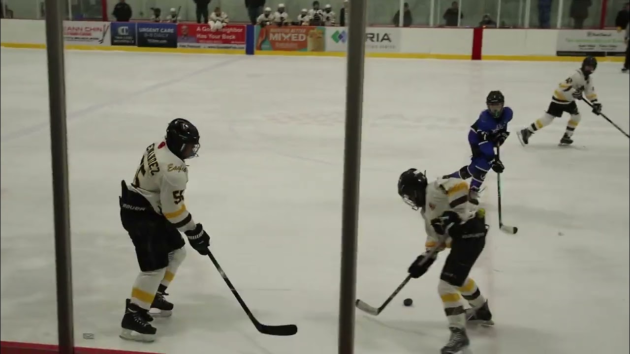 Eastview Hockey Peewee C vs Apple Valley Burnsville 3rd Period