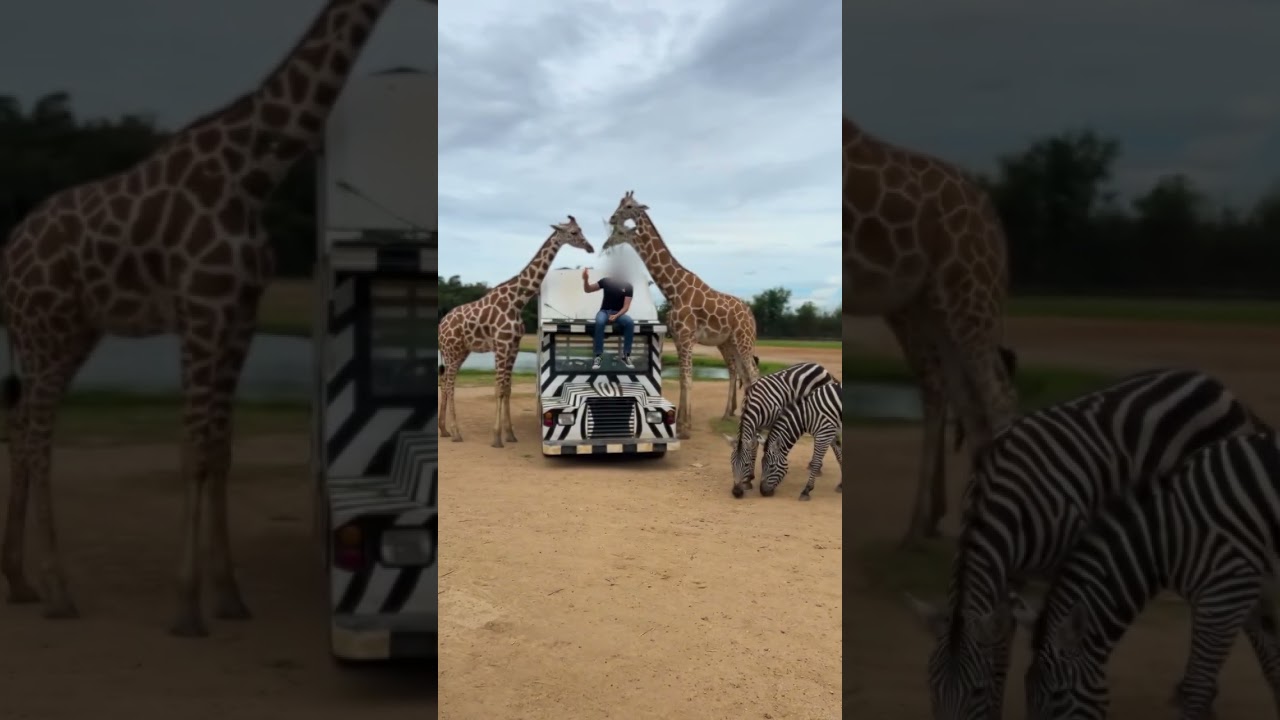 Avoid These Mistakes: Crafting a Winning Dating Profile