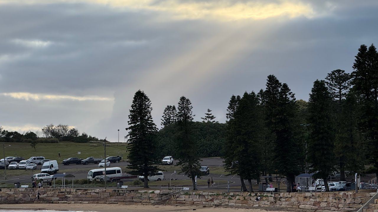 Early morning at Terrigal. Under the boardwalk. Pelican. Sun rays. John & Jenny. Paddlers. 