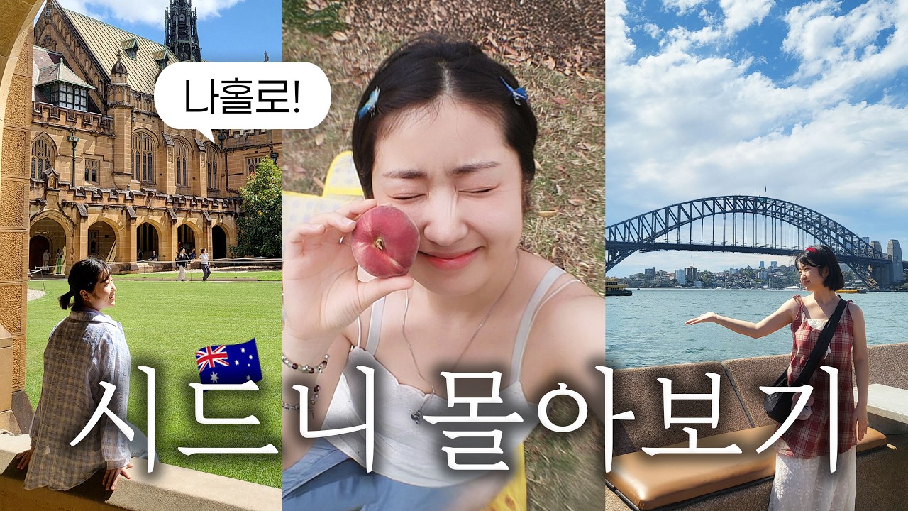 시드니 몰아보기🇦🇺 11박 12일 일정, 준비물, 총경비, 투어비, 동선까지 전부 공개!🐨 호주 여행 꿀팁 보고가세요🌟 Sydney Trip