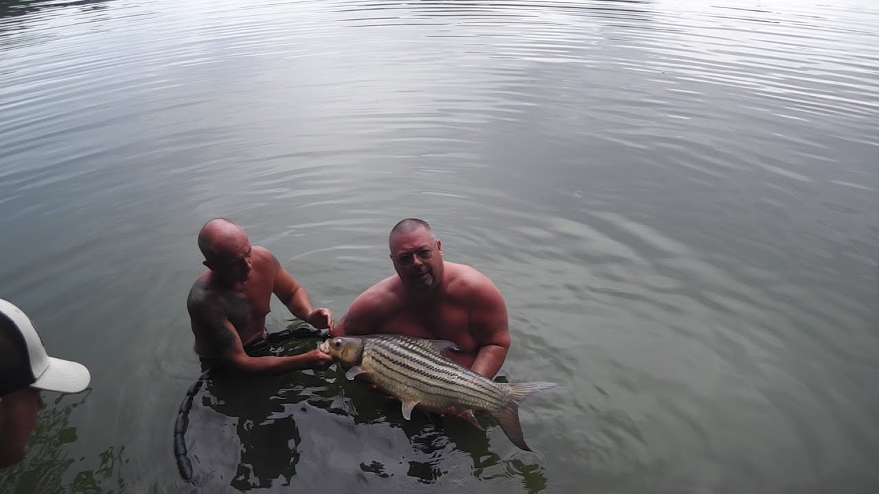 Fishing In Thailand Gillhams Fishing Resort