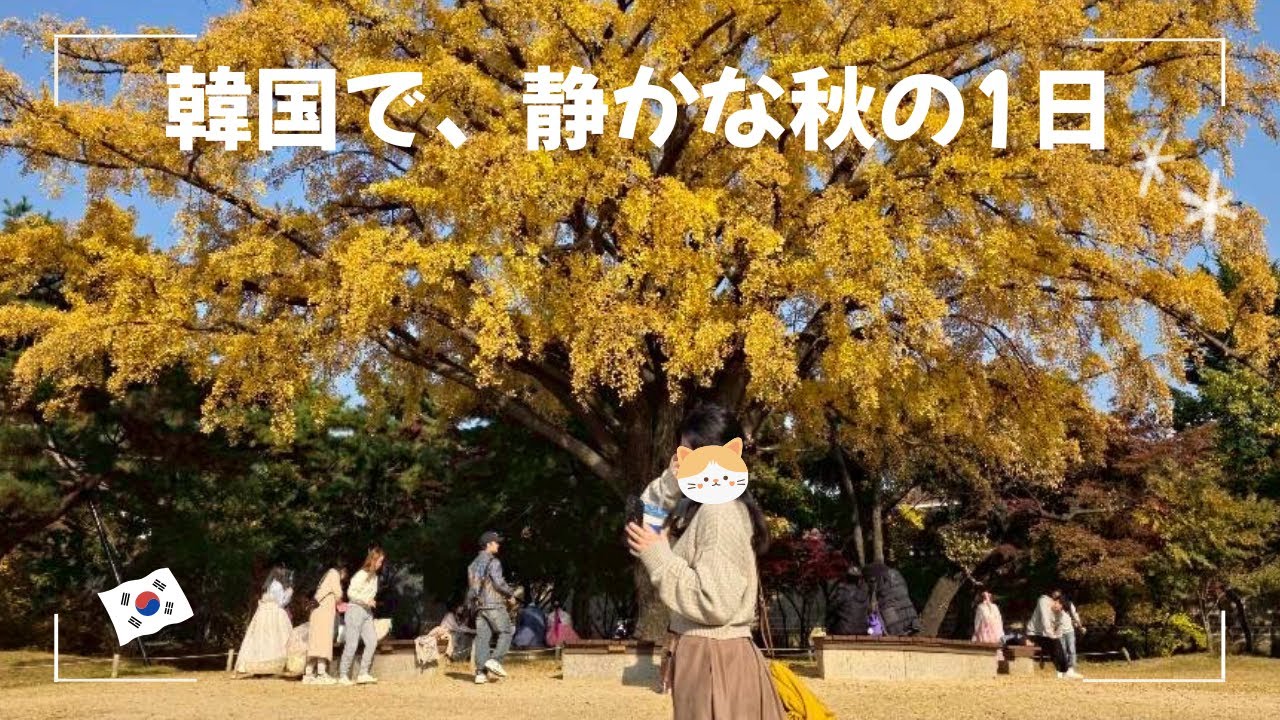 【日韓夫婦/한일부부】韓国生活VLOG 心地いい韓国の秋！한국생활 브이로그 한국 가울은 너무 아름다워!